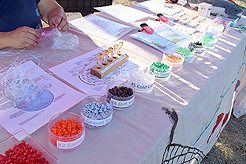 LAURELHURST BACKYARD BBQ 2018